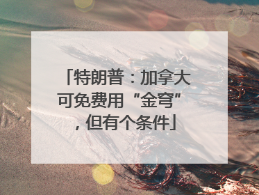 特朗普：加拿大可免费用“金穹”，但有个条件