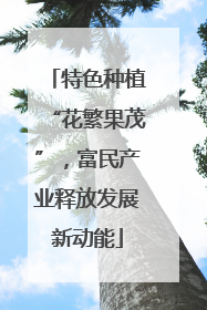 特色种植“花繁果茂”，富民产业释放发展新动能
