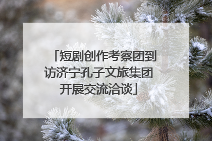 短剧创作考察团到访济宁孔子文旅集团开展交流洽谈