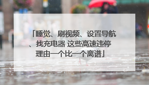 睡觉、刷视频、设置导航、找充电器 这些高速违停理由一个比一个离谱
