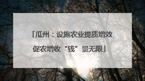 瓜州：设施农业提质增效 促农增收“钱”景无限