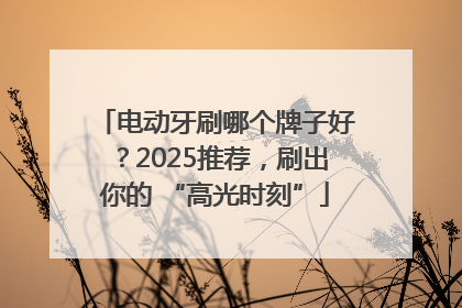 电动牙刷哪个牌子好？2025推荐，刷出你的 “高光时刻”