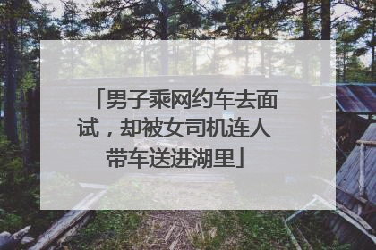 男子乘网约车去面试，却被女司机连人带车送进湖里