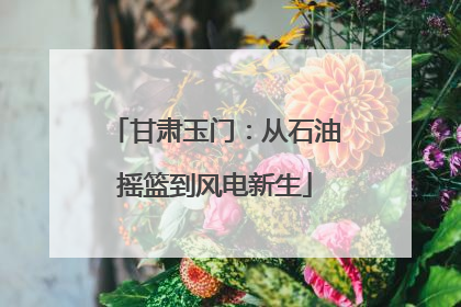 甘肃玉门：从石油摇篮到风电新生