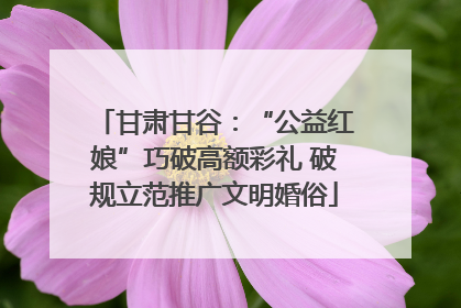 甘肃甘谷：“公益红娘”巧破高额彩礼 破规立范推广文明婚俗