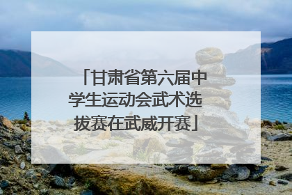 甘肃省第六届中学生运动会武术选拔赛在武威开赛