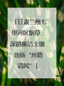 甘肃兰州七里河区烟草：深耕廉洁土壤 劲扬“丝路清风”