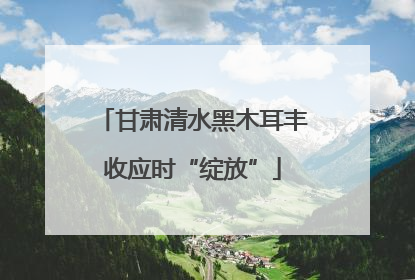 甘肃清水黑木耳丰收应时“绽放”