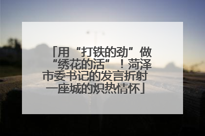 用“打铁的劲”做“绣花的活”！菏泽市委书记的发言折射一座城的炽热情怀