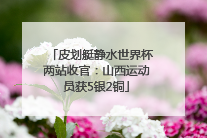 皮划艇静水世界杯两站收官：山西运动员获5银2铜