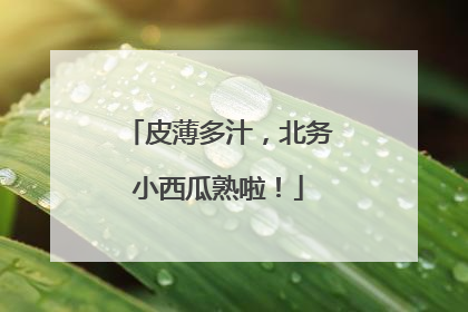 皮薄多汁，北务小西瓜熟啦！