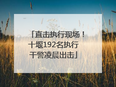 直击执行现场！十堰192名执行干警凌晨出击