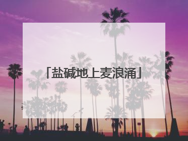 盐碱地上麦浪涌