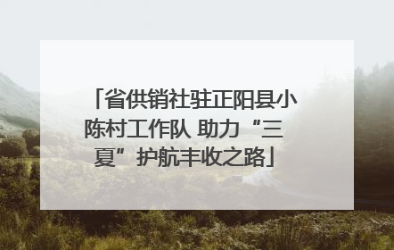 省供销社驻正阳县小陈村工作队 助力“三夏”护航丰收之路