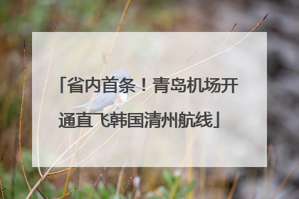 省内首条！青岛机场开通直飞韩国清州航线