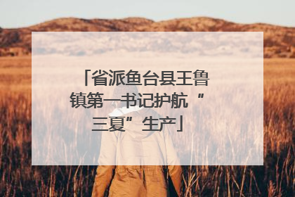 省派鱼台县王鲁镇第一书记护航“三夏”生产