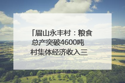 眉山永丰村：粮食总产突破4600吨 村集体经济收入三年倍增｜牵挂的村