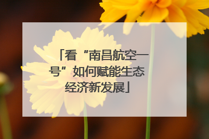 看“南昌航空一号”如何赋能生态经济新发展