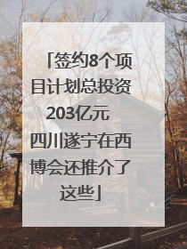 签约8个项目计划总投资203亿元 四川遂宁在西博会还推介了这些