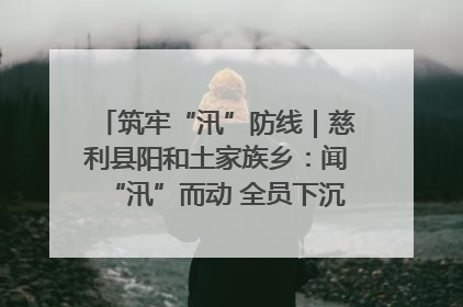 筑牢“汛”防线｜慈利县阳和土家族乡：闻“汛”而动 全员下沉筑牢防汛“安全堤”
