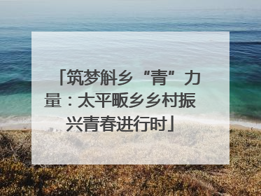 筑梦斛乡“青”力量：太平畈乡乡村振兴青春进行时
