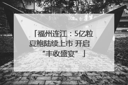 福州连江：5亿粒夏鲍陆续上市 开启“丰收盛宴”