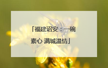 福建诏安：一碗素心 满城温情