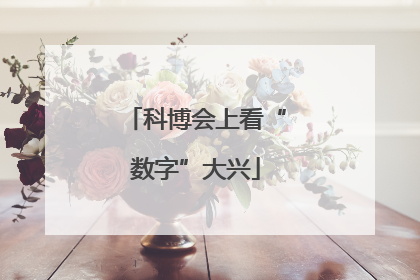 科博会上看“数字”大兴