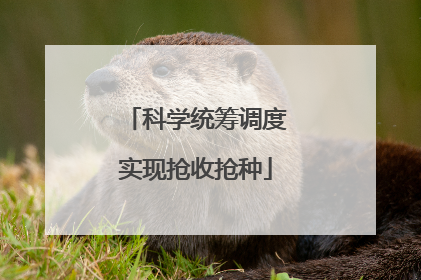 科学统筹调度实现抢收抢种
