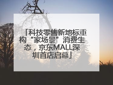 科技零售新地标重构“家场景”消费生态，京东MALL深圳首店启幕