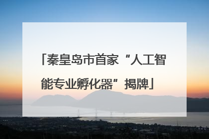秦皇岛市首家“人工智能专业孵化器”揭牌