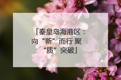 秦皇岛海港区：向“新”而行 聚“质”突破