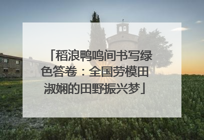 稻浪鸭鸣间书写绿色答卷：全国劳模田淑娴的田野振兴梦