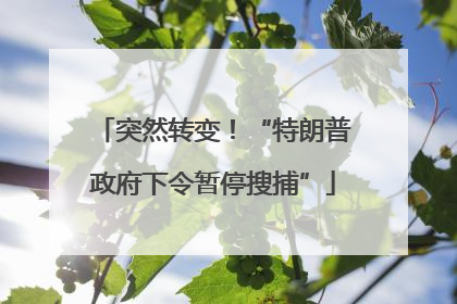 突然转变！“特朗普政府下令暂停搜捕”