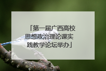 第一届广西高校思想政治理论课实践教学论坛举办