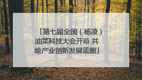 第七届全国（杨凌）油菜科技大会开幕 共绘产业创新发展蓝图