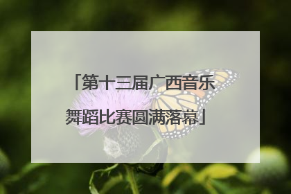 第十三届广西音乐舞蹈比赛圆满落幕