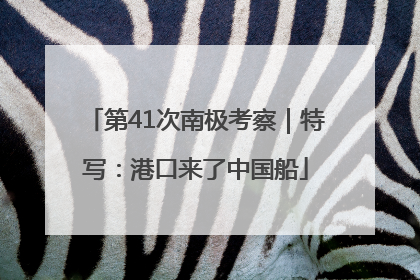 第41次南极考察｜特写：港口来了中国船