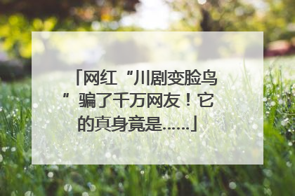 网红“川剧变脸鸟”骗了千万网友！它的真身竟是……