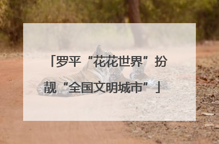 罗平“花花世界”扮靓“全国文明城市”