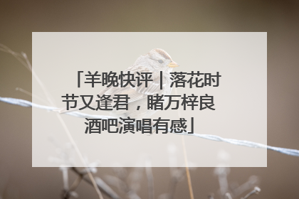 羊晚快评｜落花时节又逢君，睹万梓良酒吧演唱有感