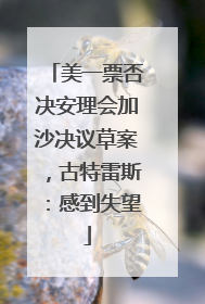 美一票否决安理会加沙决议草案，古特雷斯：感到失望