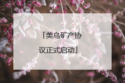 美乌矿产协议正式启动
