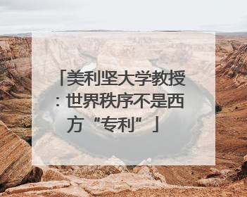 美利坚大学教授：世界秩序不是西方“专利”