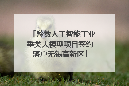 羚数人工智能工业垂类大模型项目签约落户无锡高新区