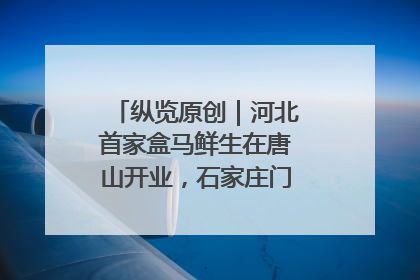 纵览原创｜河北首家盒马鲜生在唐山开业，石家庄门店预计8月开业