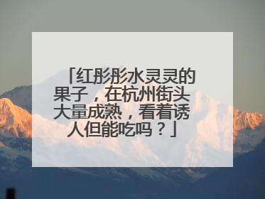 红彤彤水灵灵的果子，在杭州街头大量成熟，看着诱人但能吃吗？