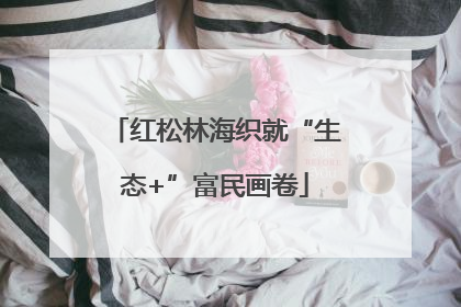 红松林海织就“生态+”富民画卷