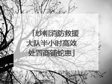 纱帽消防救援大队半小时高效处置商铺蛇患
