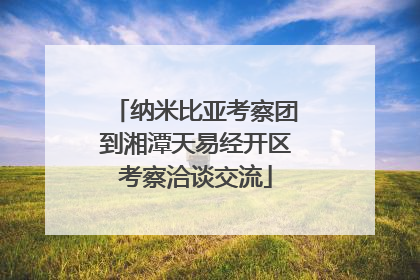 纳米比亚考察团到湘潭天易经开区考察洽谈交流